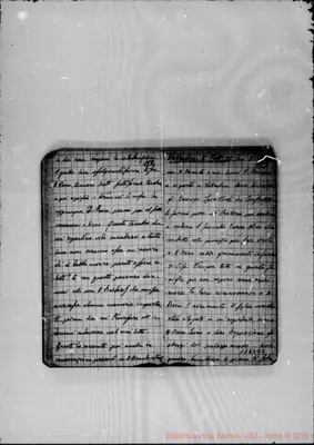 Fotogramma D 3
