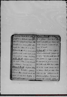 Fotogramma D 12