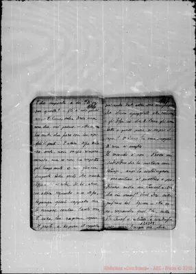 Fotogramma E 8