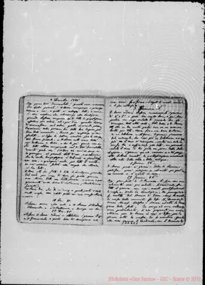 Fotogramma C 1