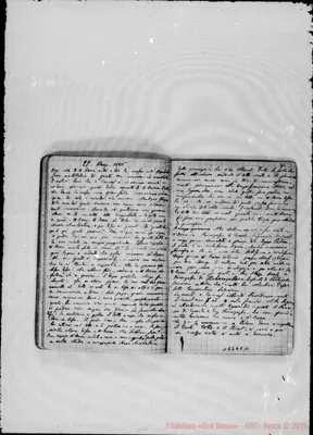 Fotogramma C 11