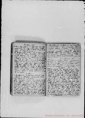 Fotogramma C 12