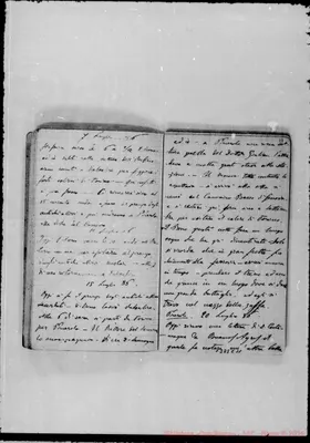Fotogramma C 11