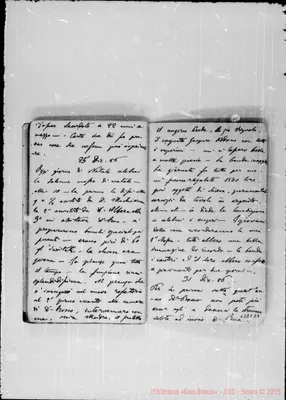 Fotogramma E 7