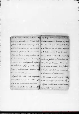 Fotogramma C 2