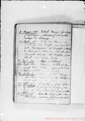 Fotogramma D 3
