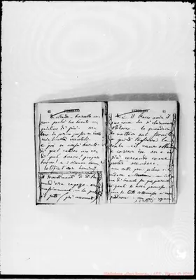 Fotogramma D 11