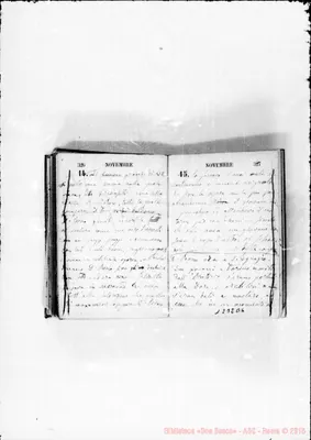 Fotogramma B 6