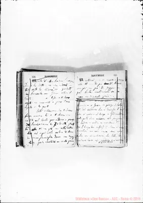 Fotogramma B 10