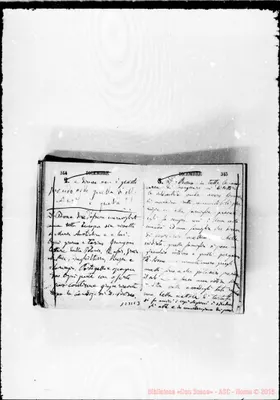 Fotogramma C 3
