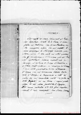 Fotogramma C 5