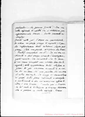 Fotogramma E 12