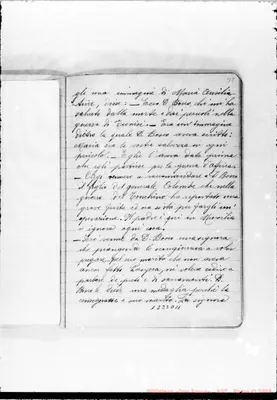 Fotogramma D 11
