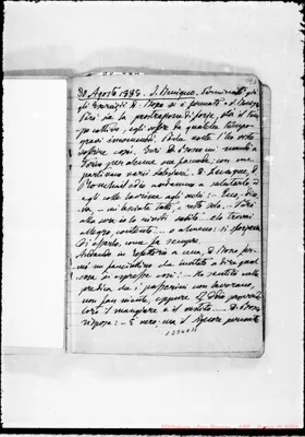 Fotogramma C 11