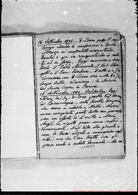 Fotogramma D 3