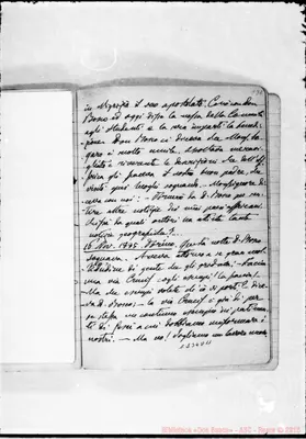 Fotogramma D 11