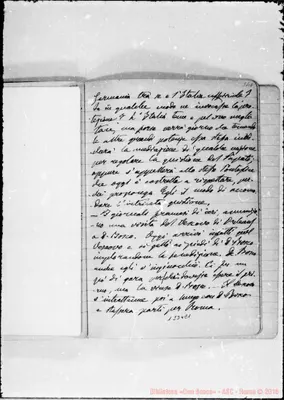 Fotogramma E 1