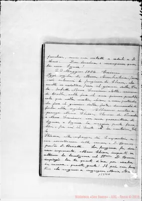 Fotogramma D 11