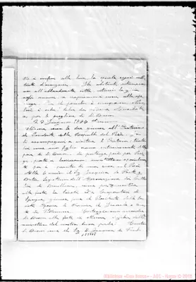 Fotogramma E 8