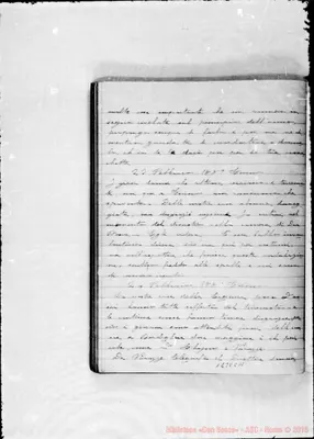 Fotogramma C 11