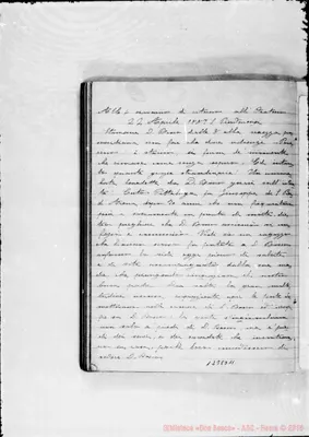 Fotogramma D 11