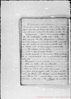 Fotogramma D 8