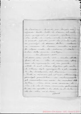 Fotogramma C 11