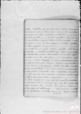 Fotogramma D 11