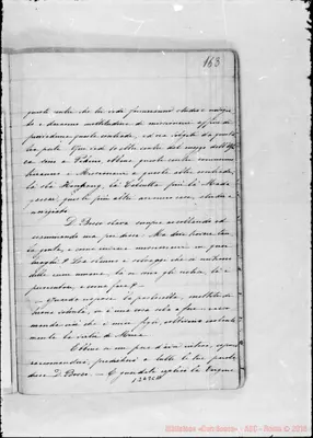 Fotogramma C 11