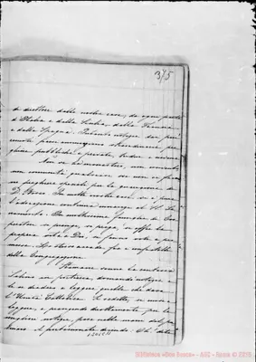 Fotogramma C 11