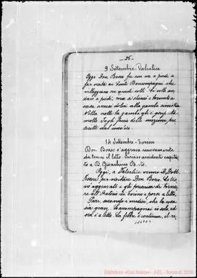 Fotogramma C 5