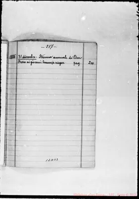Fotogramma D 3