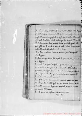 Fotogramma D 5