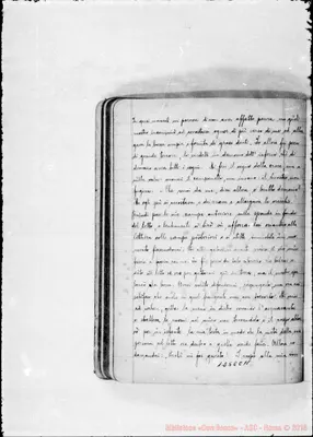 Fotogramma C 11