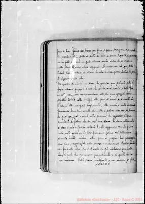 Fotogramma D 5