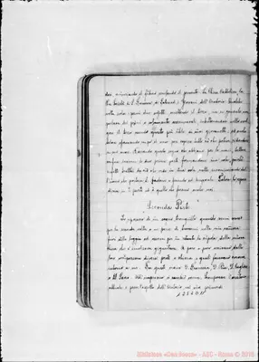 Fotogramma D 11