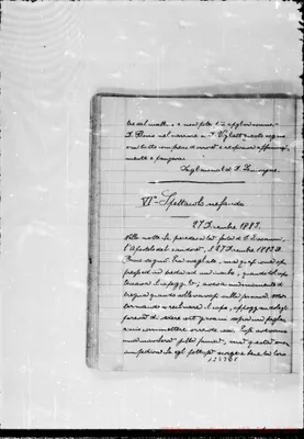 Fotogramma E 8