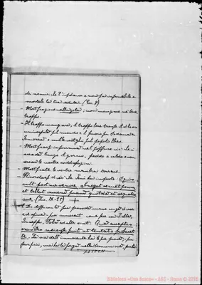 Fotogramma C 11