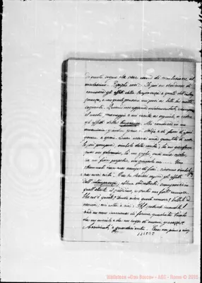 Fotogramma E 8