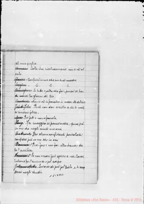 Fotogramma A 11