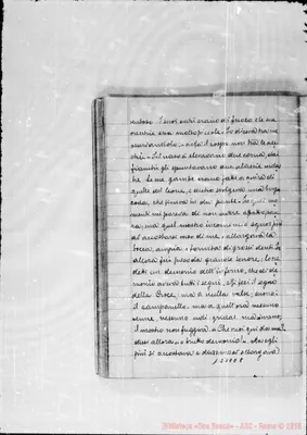 Fotogramma E 8