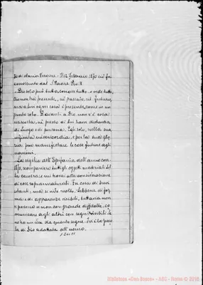 Fotogramma C 1