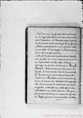 Fotogramma C 2