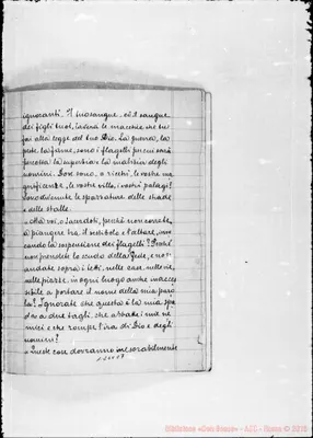 Fotogramma C 7