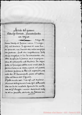 Fotogramma C 11
