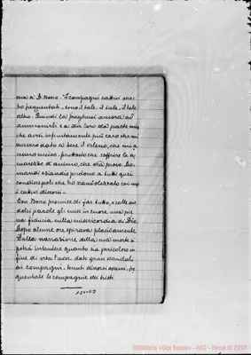 Fotogramma D 3