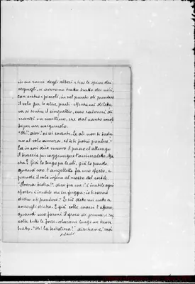 Fotogramma E 1