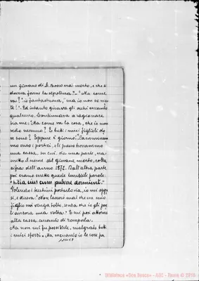 Fotogramma E 7