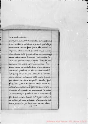 Fotogramma C 3