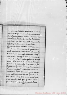 Fotogramma C 5